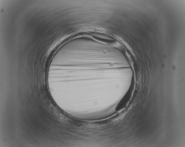 X0000083660877200703121809