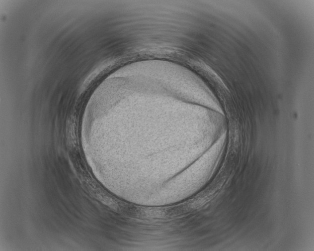 X0000083660878200703121809