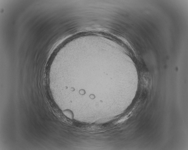 X0000083660879200703121809