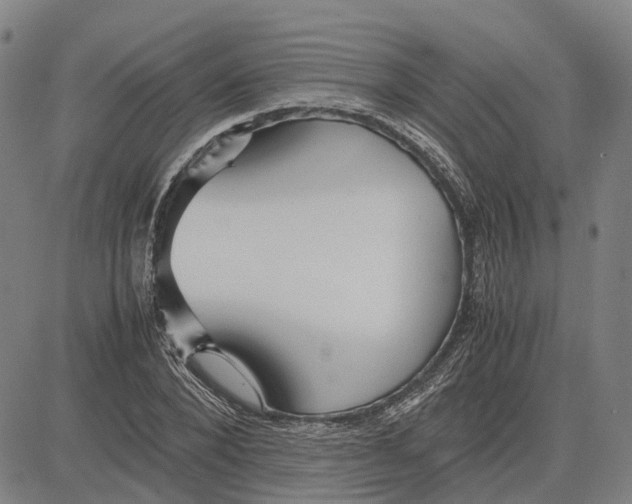 X0000083660880200703121809