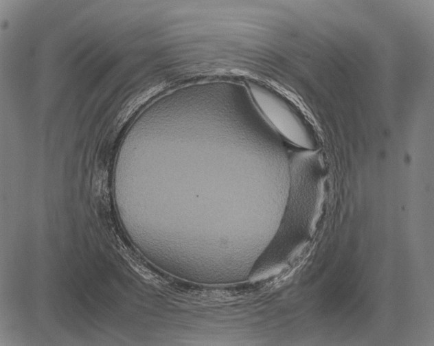 X0000083660881200703121809