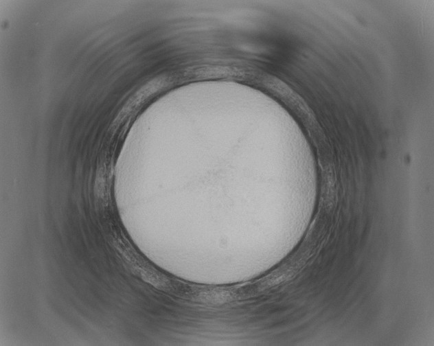 X0000083660882200703121809