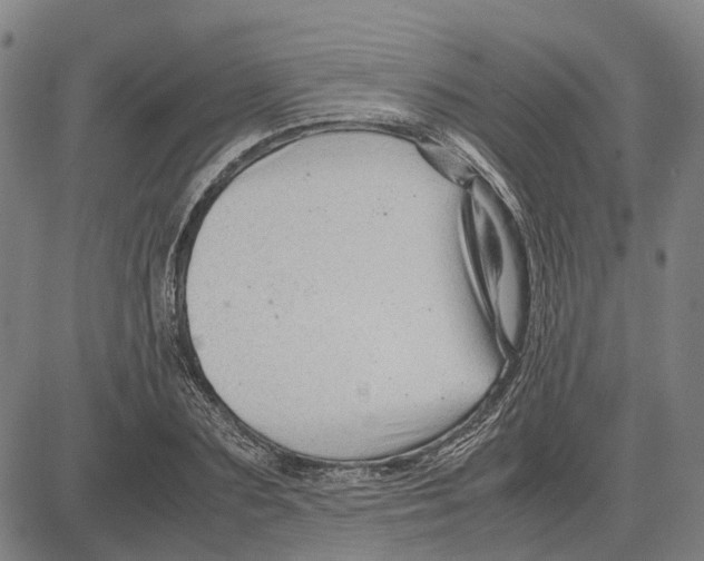 X0000083660883200703121809