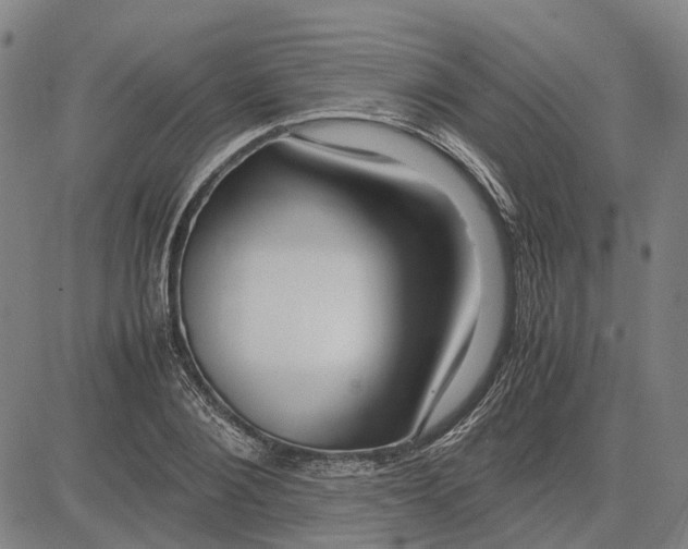 X0000083660884200703121809