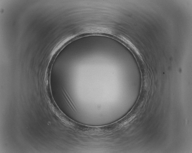 X0000083660885200703121809