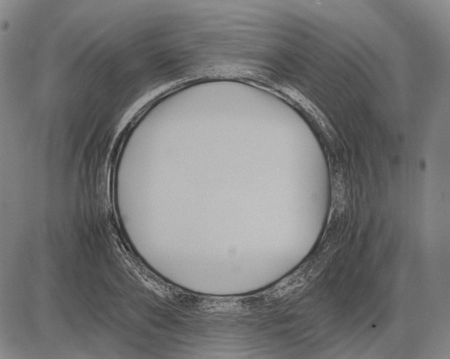 X0000083660886200703121809