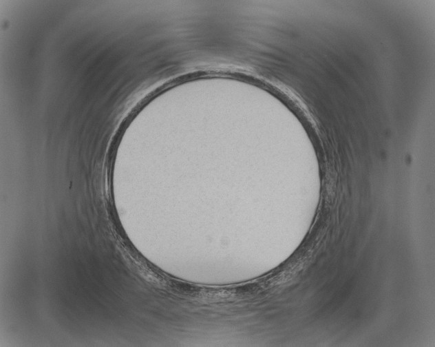 X0000083660887200703121809