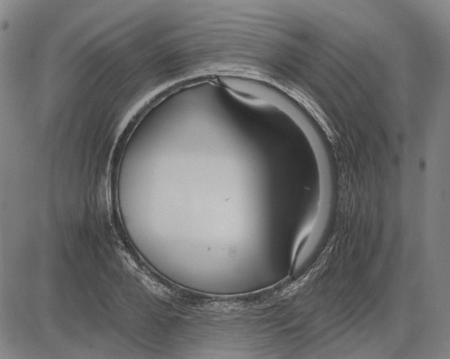 X0000083660888200703121809