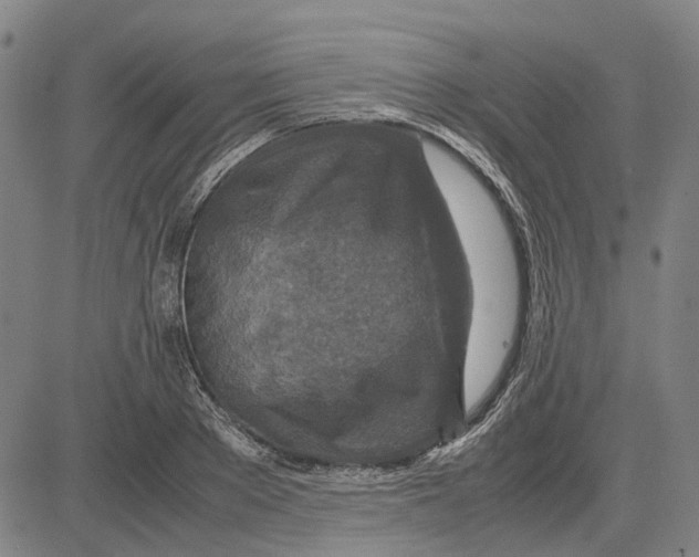 X0000083660889200703121808