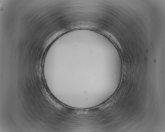 X0000083660890200703121808