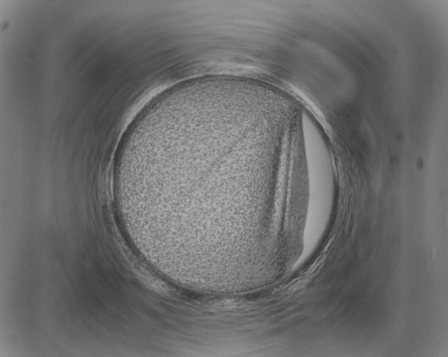 X0000083660891200703121808