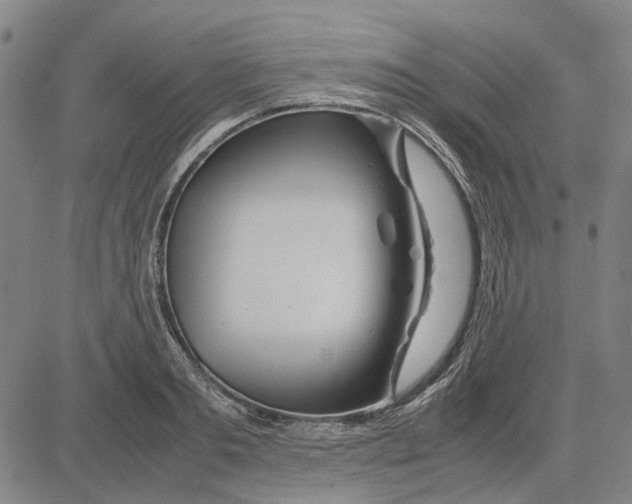 X0000083660893200703121808