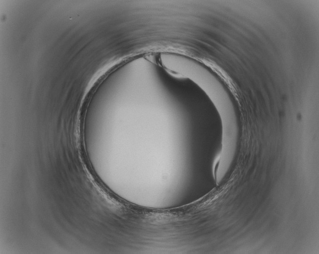 X0000083660894200703121808