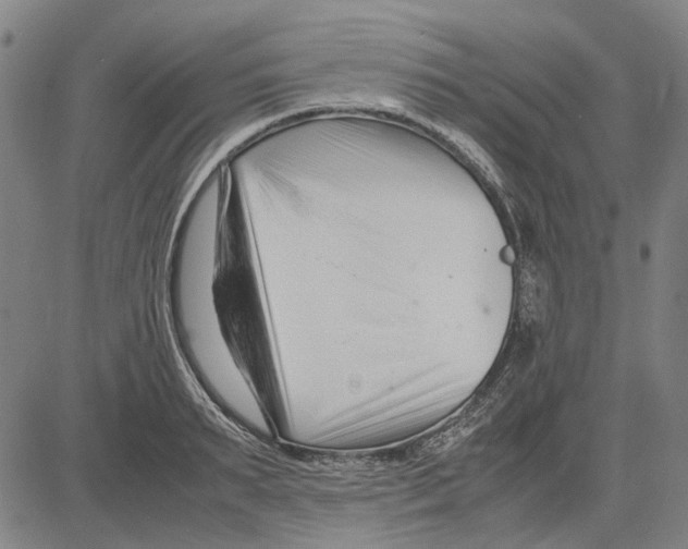 X0000083660895200703121808