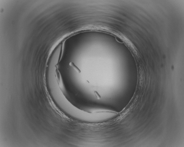 X0000083660896200703121808