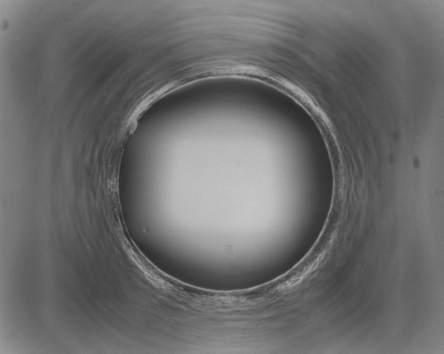 X0000083660897200703121808