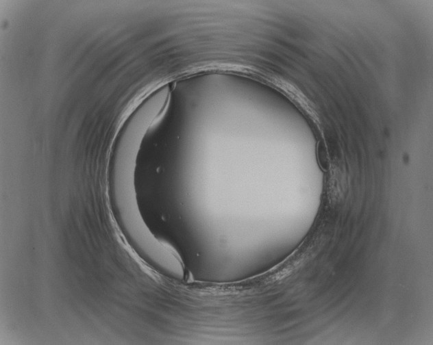 X0000083660898200703121808