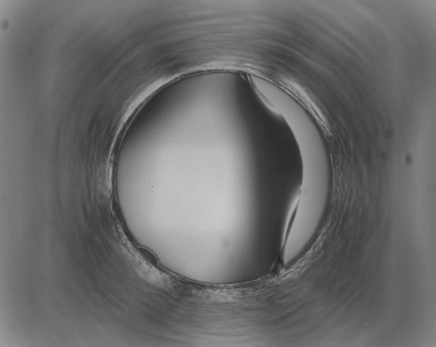 X0000083660900200703121808