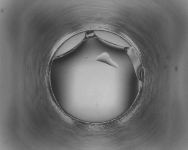 X0000083660901200703121808