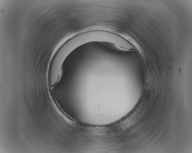 X0000083660902200703121808