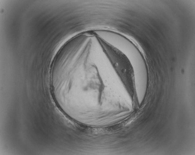 X0000083660903200703121808