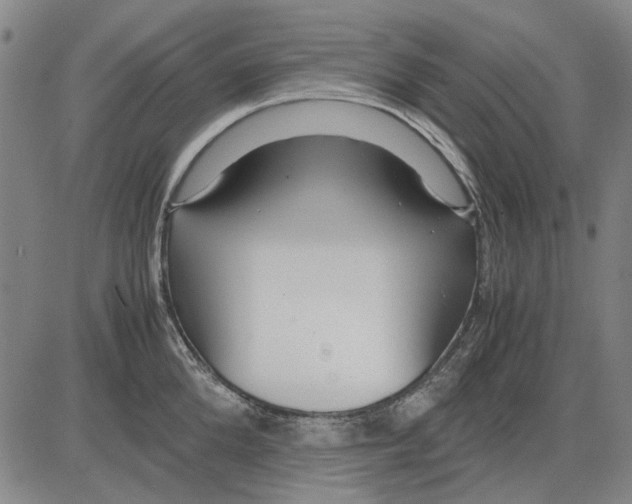 X0000083660904200703121808