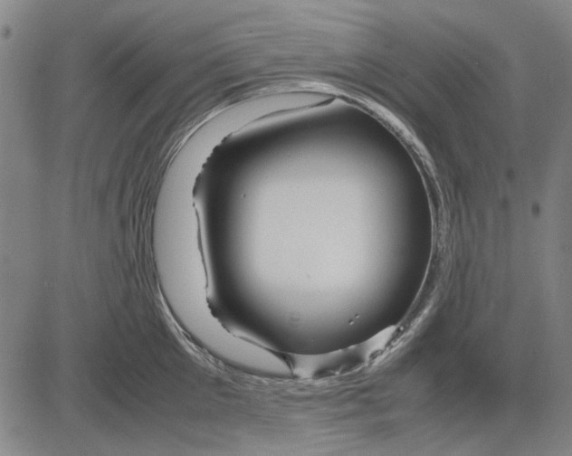 X0000083660905200703121808