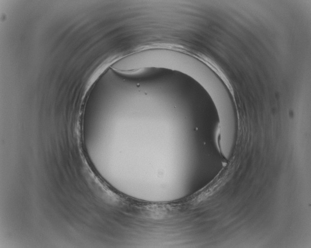 X0000083660906200703121808