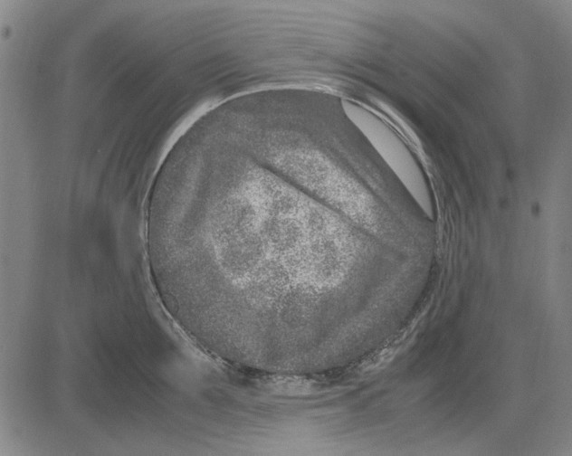 X0000083660907200703121808