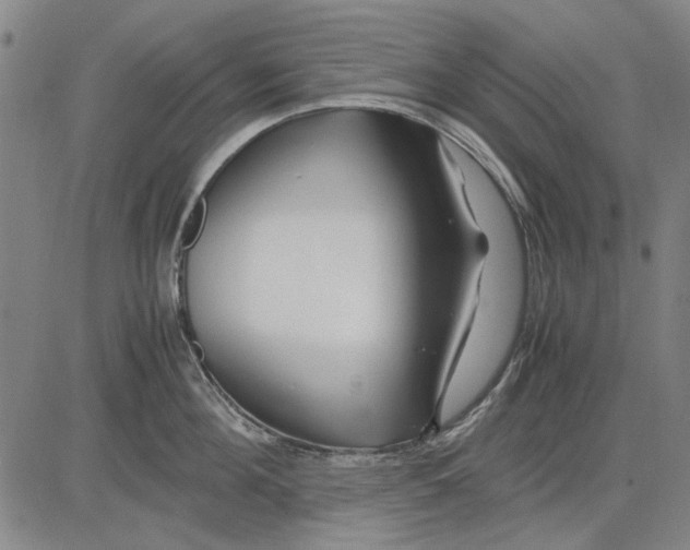 X0000083660908200703121808