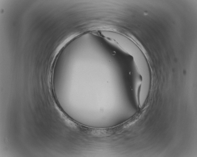 X0000083660909200703121808