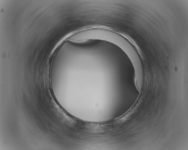 X0000083660910200703121808