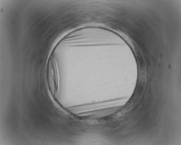 X0000083660911200703121808