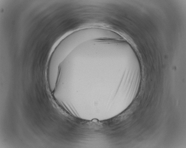 X0000083660912200703121808