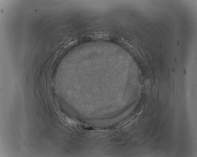 X0000083660913200703121807