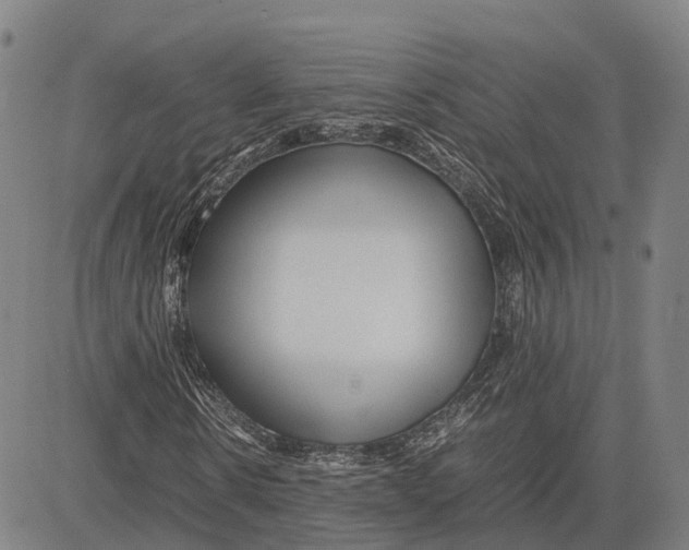 X0000083660914200703121807