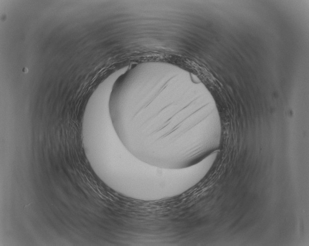 X0000083660916200703121807