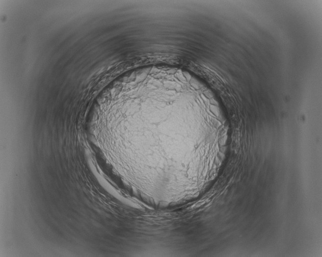 X0000083660917200703121807