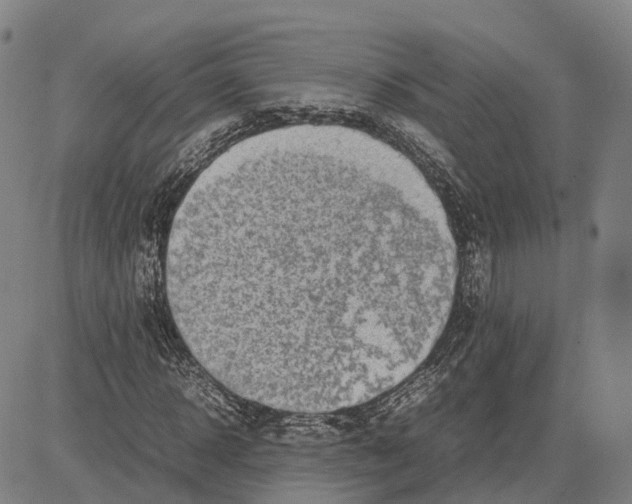 X0000083660918200703121807