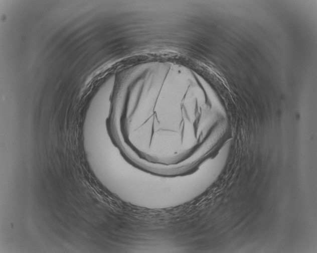 X0000083660920200703121807