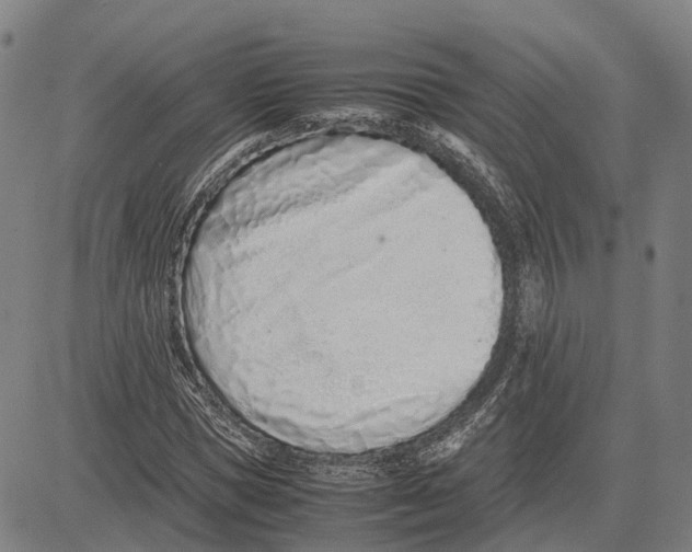 X0000083660921200703121807