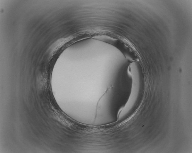 X0000083660922200703121807