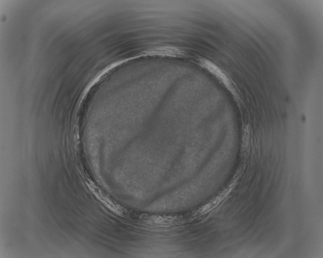 X0000083660923200703121807