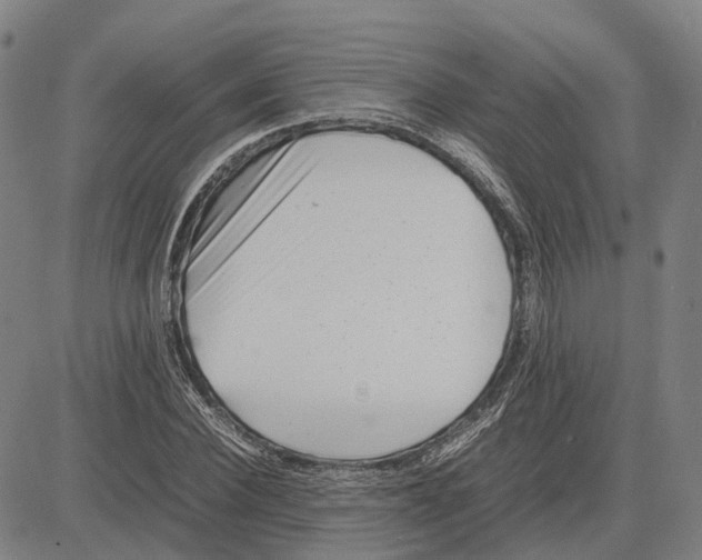 X0000083660924200703121807