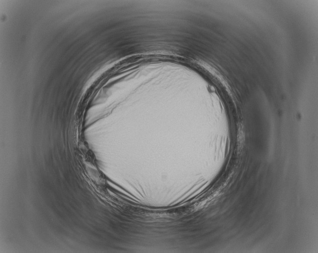 X0000083660925200703121808