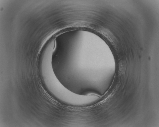 X0000083660926200703121808