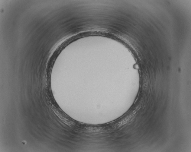 X0000083660927200703121808