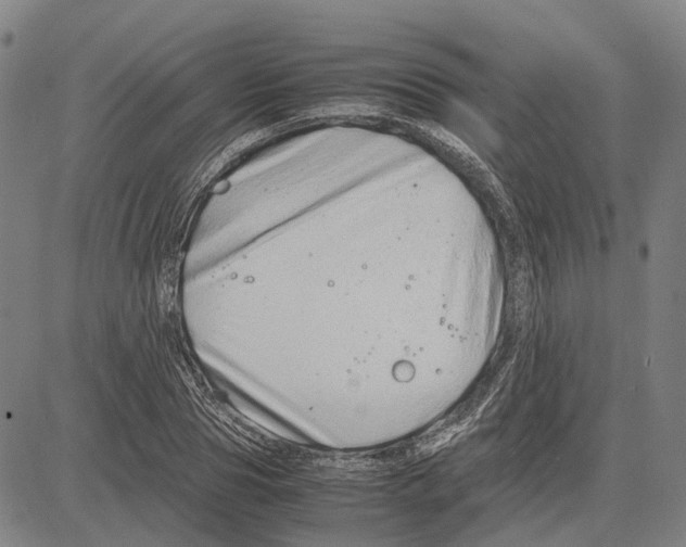 X0000083660929200703121808