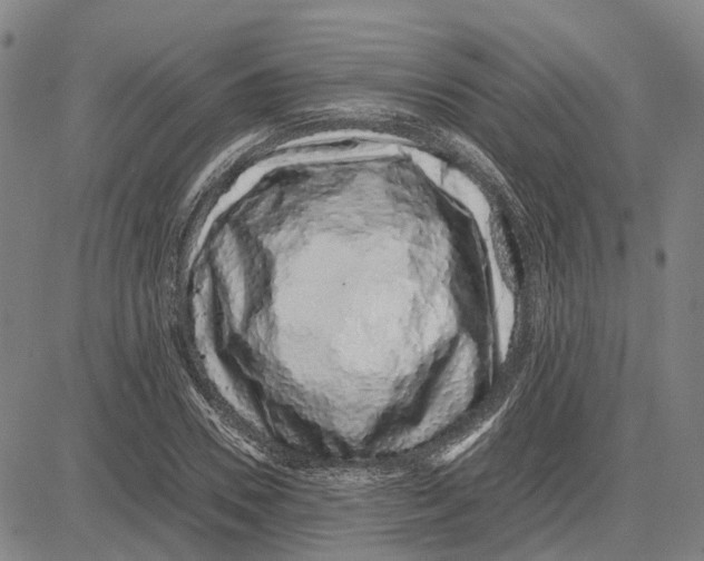 X0000083660930200703121808