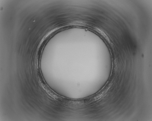 X0000083660931200703121808